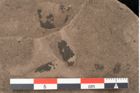 Foto (Detailansicht) von Plantae indet.  (NHMW-GEO-2024-0188-10389)